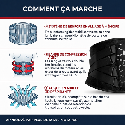 Ceinture Lombaire Rider - Soutien Dorsal pour Motards
